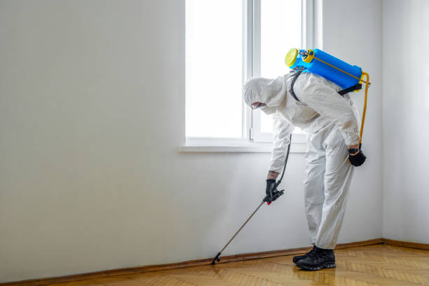 Best Affordable Pest Control Services  in Beaverton, OR