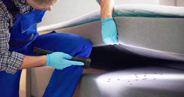 Best Pest Control Near Me  in Beaverton, OR